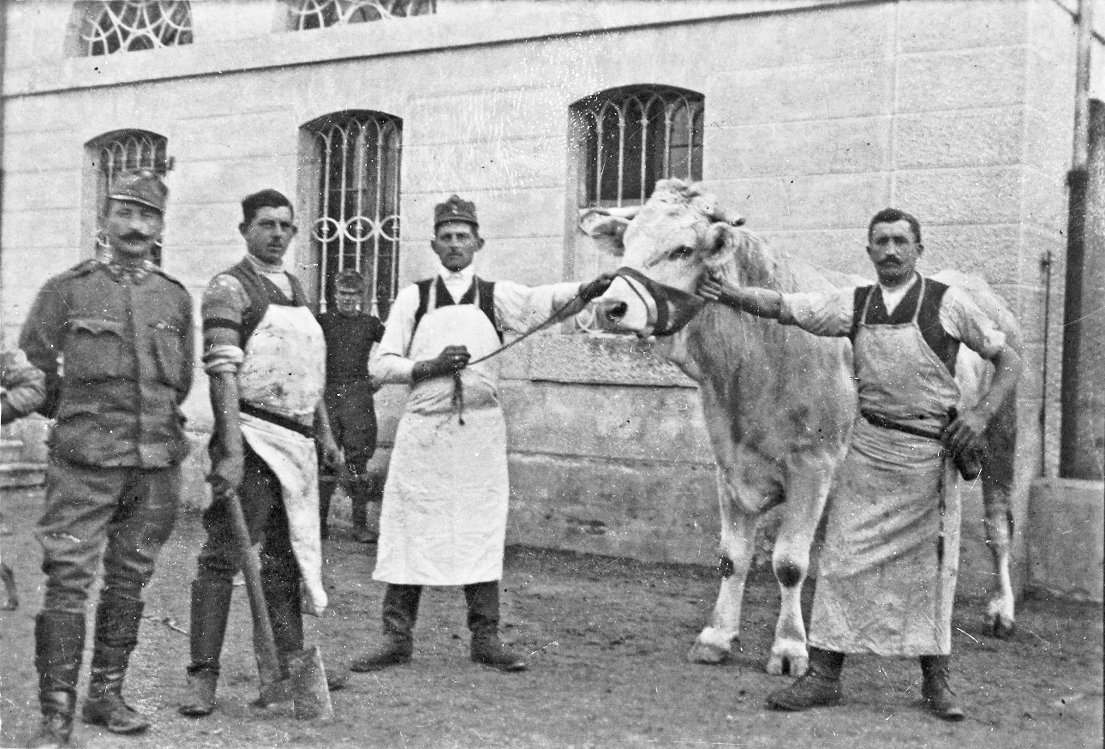 1898�N���瑱���H�����H��僁�[�J�[�`Molinaro