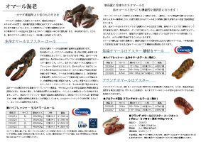 eI}[uX^[戵[2018N10쐬/A3/2]