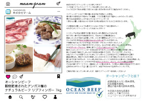 I[Vr[t炳ꂽAKX̃i`r[t utBK[ [2019N7쐬/A4/1]