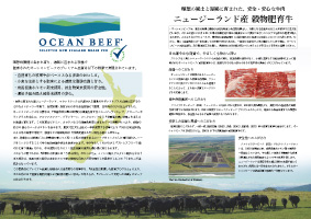 j[W[hY 狍 I[Vr[t[2019N9쐬/A3/2]