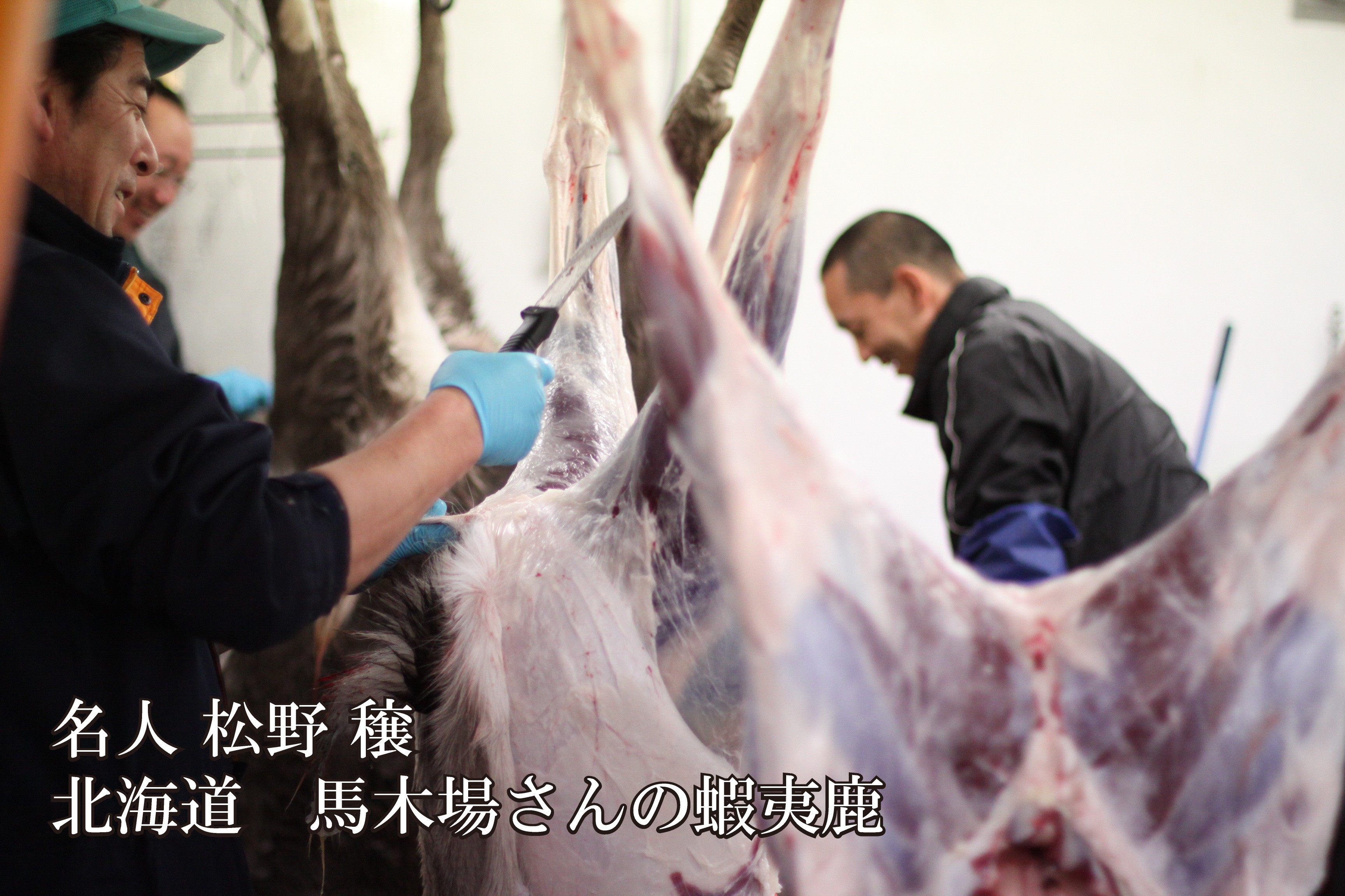 lu vlAkC f̓VRڈ(G])