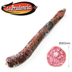 EvfVA T`` f CxR xW[^