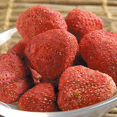 �t���[�Y�h���C �t���[�Y �z�[�� 500g