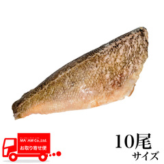 [P[X̔]NkPtB(tE) 10TCY