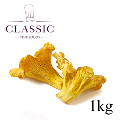 t`F&B NW[ TCYI 1kg [339009]