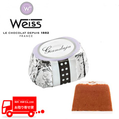 ���F�C�X �{���{�� �W�����W���W�� 100������