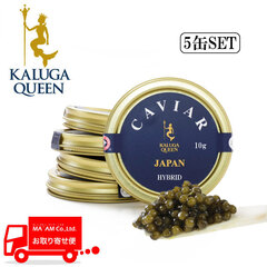 J[KNC[ tbVLrA({BJ[KVL[`EU) nCubh 10g [210595]