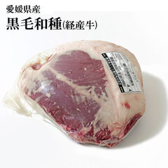 [20%off]QY јa(oY) `h v [100337]