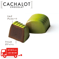 �J�V���� �`���R���[�g ���[���h ���C�� 20������