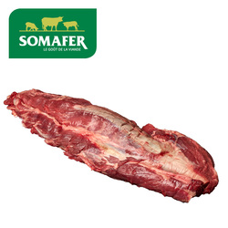 \}tF[ tbV [Ur[t@@[V tB/oYe_[C  [100480]