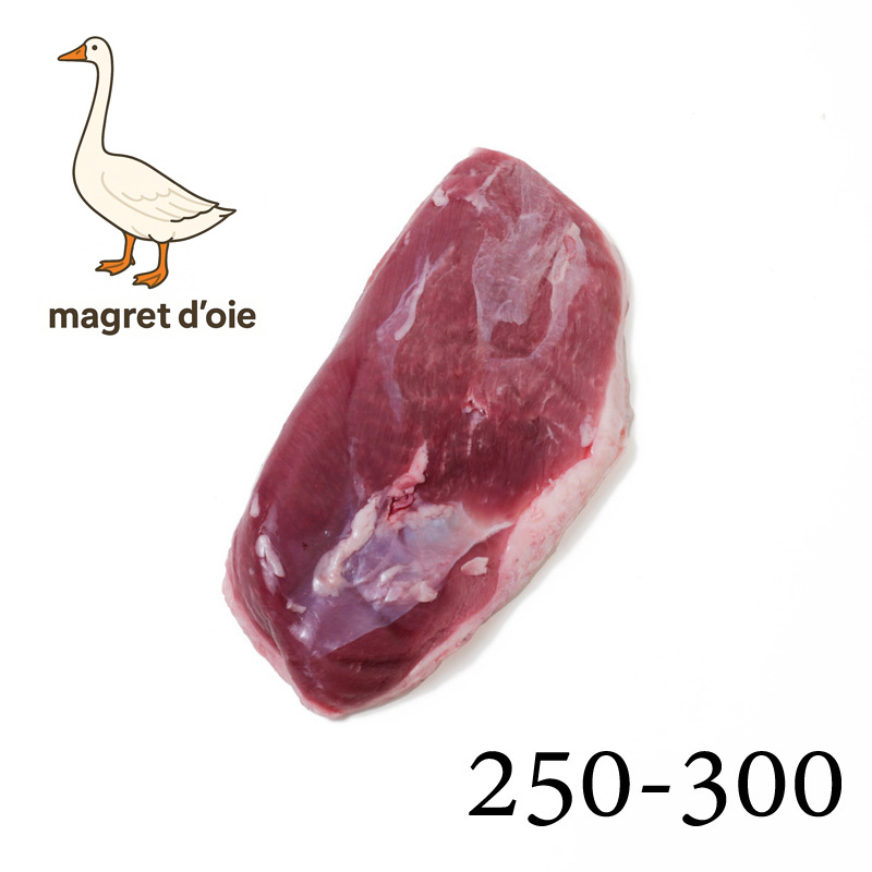 nK[Y }O h IA(tHAOiK`E̋) 250-300TCY 1