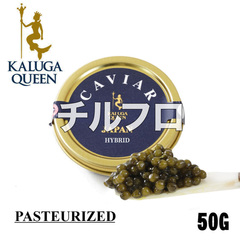 [�݌ɏ��������20%off]�J���[�K�N�C�[�� �t�̋}������ �p�X�g���C�Y�L���r�A(�{�B�J���[�K���V�������L�[�`���E�U��) �n�C�u���b�h 50g [210038]