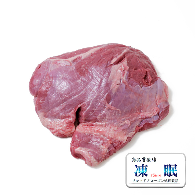 t̋} X^[NB[ `bN[/e[X [101199]