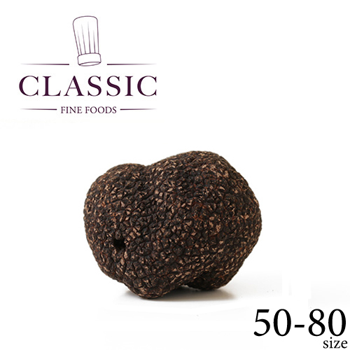 �t�����`F&B �v�����^���БI�� �t���b�V�� ���g�����t �z�[�� EXTRA 50-80�T�C�Y [350002]