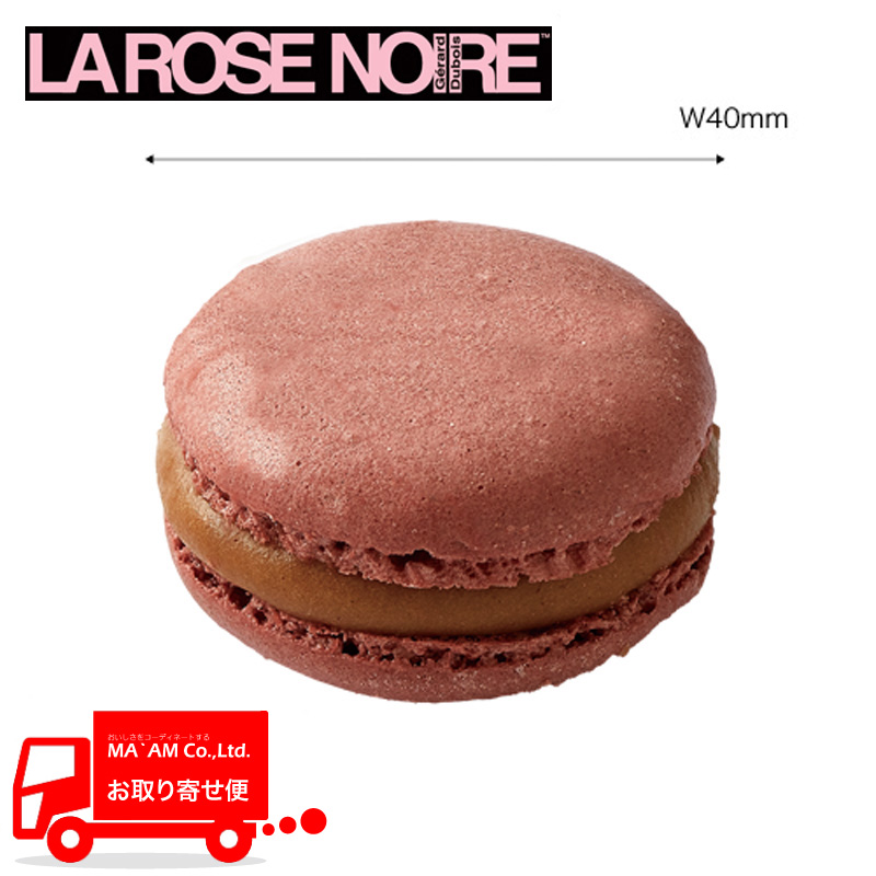 [Ym[ myCg}J(fUCERR̃J[̂ݎgp) w[[ibc M[TCY 72 [520241]