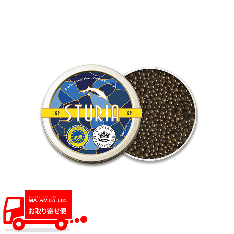 XgD[A tbV LrA hD tX({BVxA`EU) IGP ALe[k 50g [210503]