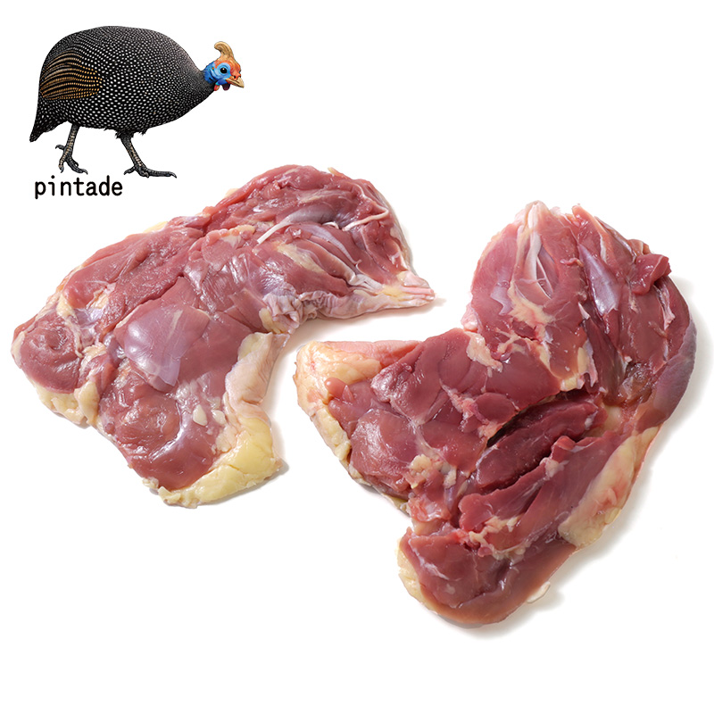 �H���̏����I�F�{���Y 3D���� �V���z���z���� ���������� 2������