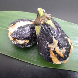 �֎q�C�V�ˍ� 600g(��30g�~20��) 