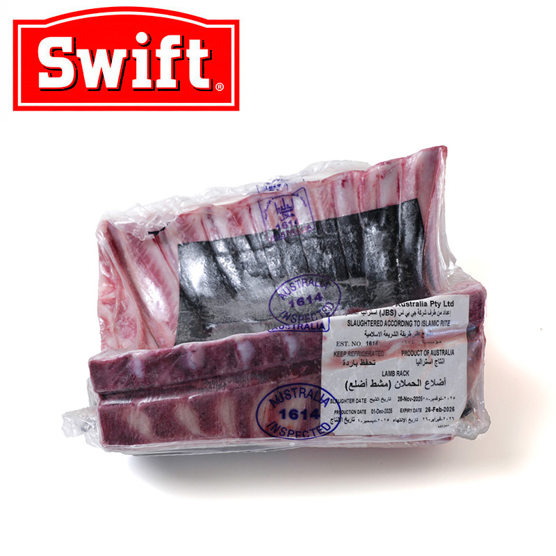 AUST SWITF�� �������� ���� �X�^���_�[�h���b�N/�e�r���t���w�� 8���u[106163]