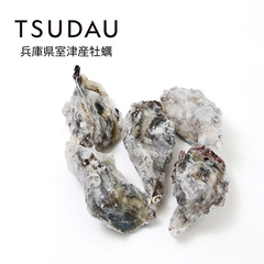 TSUDAU 生食用殻付き牡蠣//両貝テロワールオイスター S(約50g) 1kg